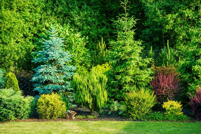 garden1