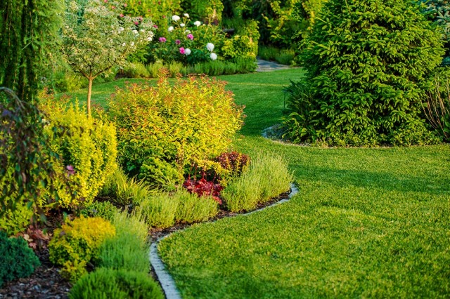 garden2